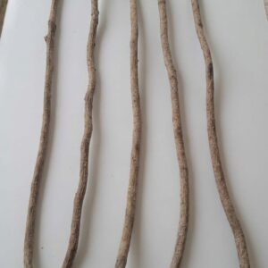 Chewing stick (Orin Ayan) 20 inches x5