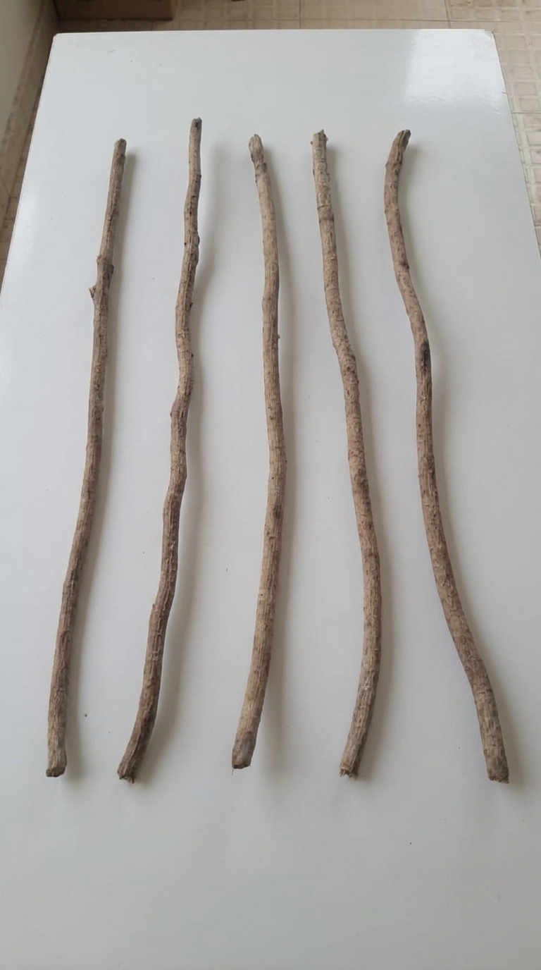 Chewing stick (Orin Ayan) 20 inches x5